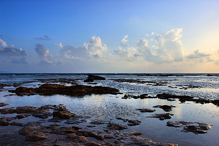 platja, Alba, capvespre, paisatge, oceà, ondulació, roques