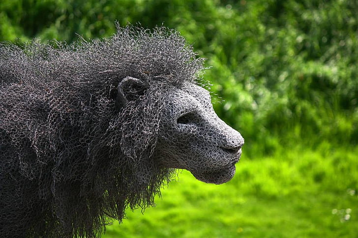 art, lion, sculpture, image
