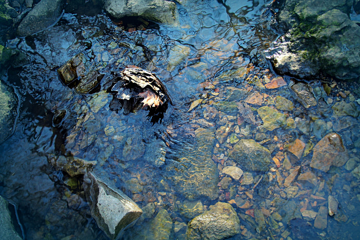 Wasser, Stream, Creek, Natur, Durchfluss, nass, Blau