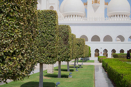 abu dhabi, mosque, architecture, garden, muslims, arabic, pray