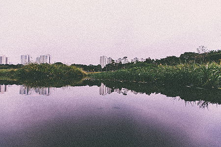edificios, hierba, estanque, reflexión, agua, naturaleza, Río
