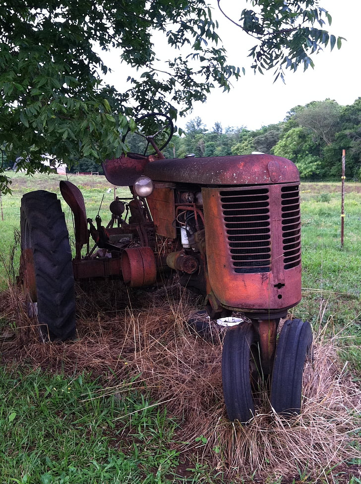 rostiga traktorn, betesmark, gård, landsbygdens, jordbruk, South carolina