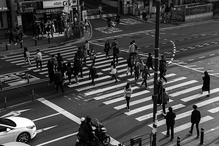 the traffic light, pedestrian crossing, people, crossroads, noryangjin, set, student