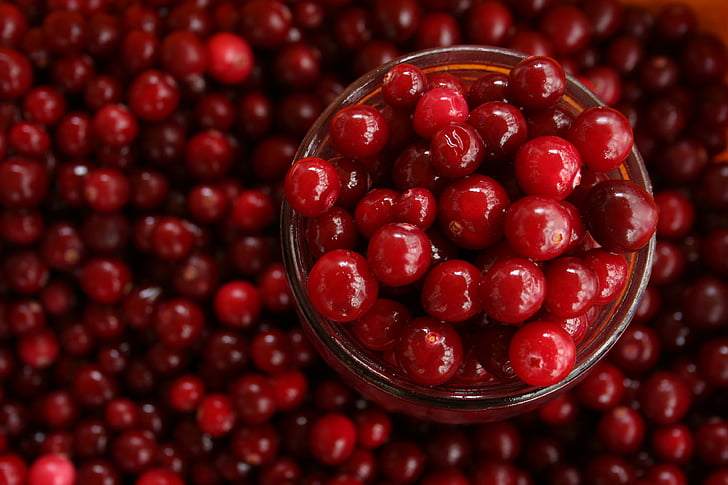 Berry, Berry, jeruk, Close-up, konpeksi, cranberry, lezat