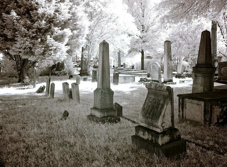 Friedhof, USA, USA, Amerika, Nord-Amerika, Magnolie, Infrarot