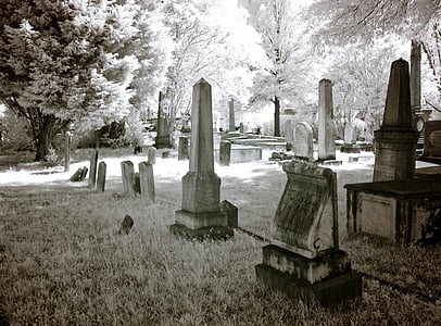 cintorín, USA, Spojené štáty americké, Amerika, Severná Amerika, Magnolia, infra červené