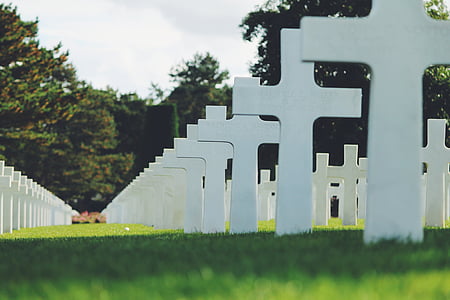 white, cross, gravestone, green, grass, cemetery, trees