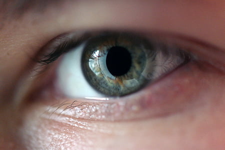 eye, macro, iris, skin, eyelash, pupil