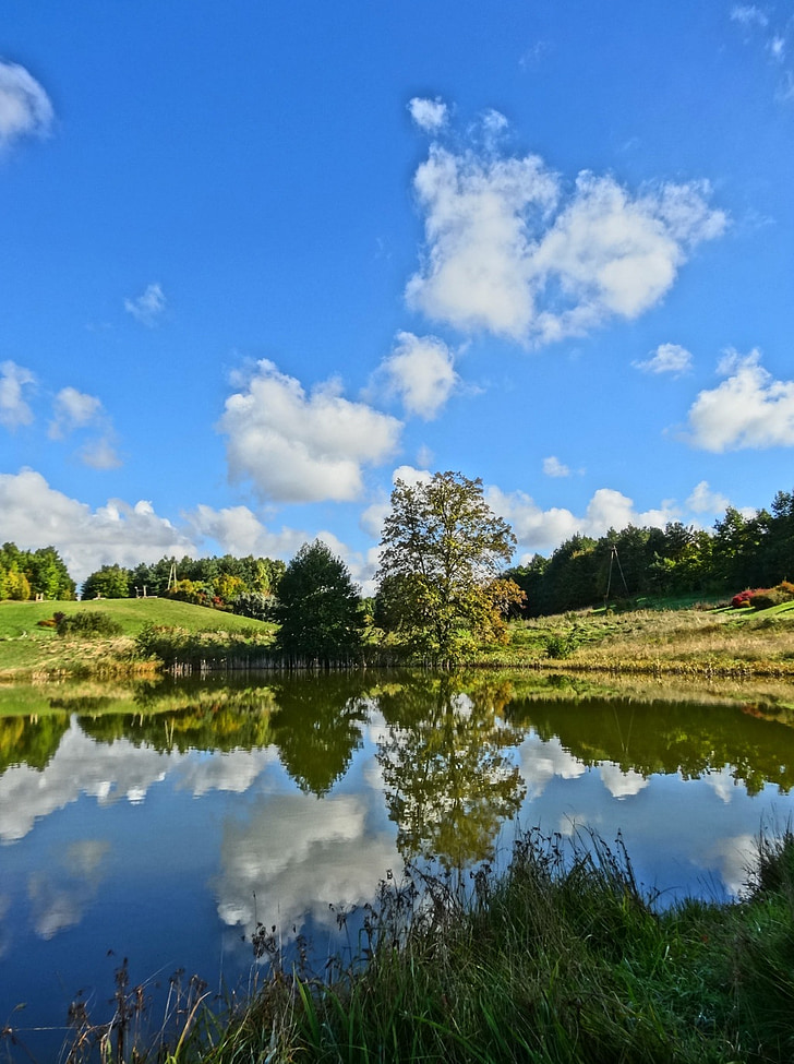 Bydgoszcz, Jardín Botánico, Lago, estanque, agua, paisaje, Parque