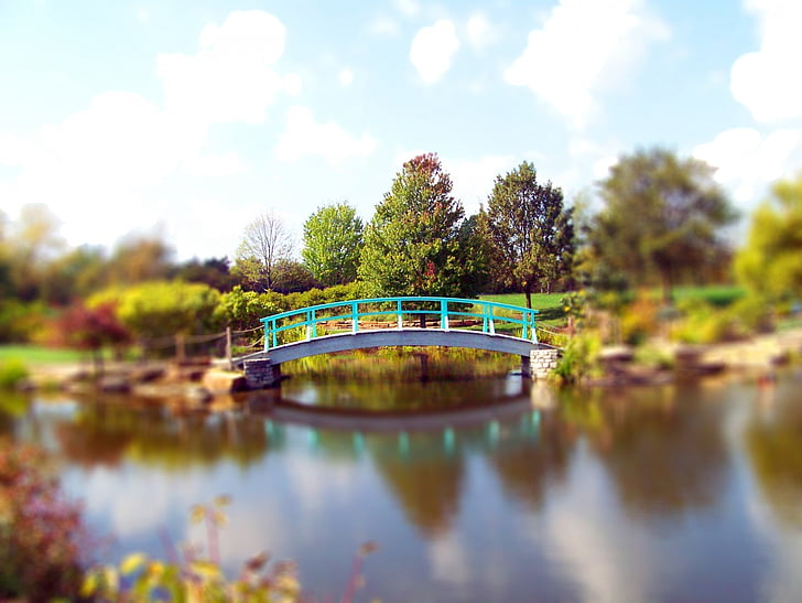 Осень, Осень, листья, пруд, мост, Парк, деревья