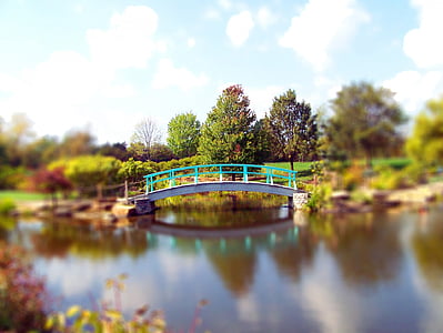 fall, autumn, leaves, pond, bridge, park, trees