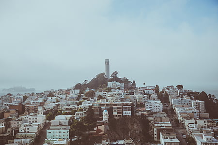 stavbe, slavni, San, Francisco, ZDA, Amerika, : stolp Coit