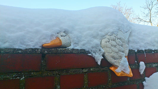 snow, winter, romantic, duck, porcelain, funny, bird