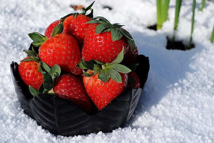 strawberries, bowl, appetizing, frisch, vitamins