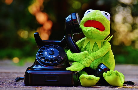 Kermit, granota, telèfon, figura, divertit, granotes, animal