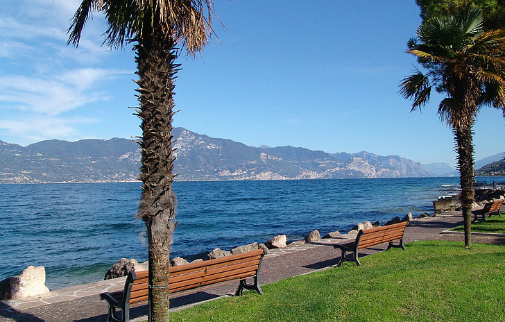italy, holiday, garda, bank, palm trees, water, landscape