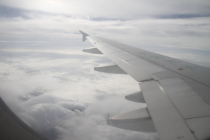 sky, wing, travel, plane