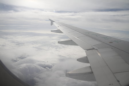 obloha, křídlo, cestování, letadlo