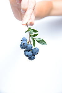 blueberry, fruit, blue, human hand, human body part, one person, white background