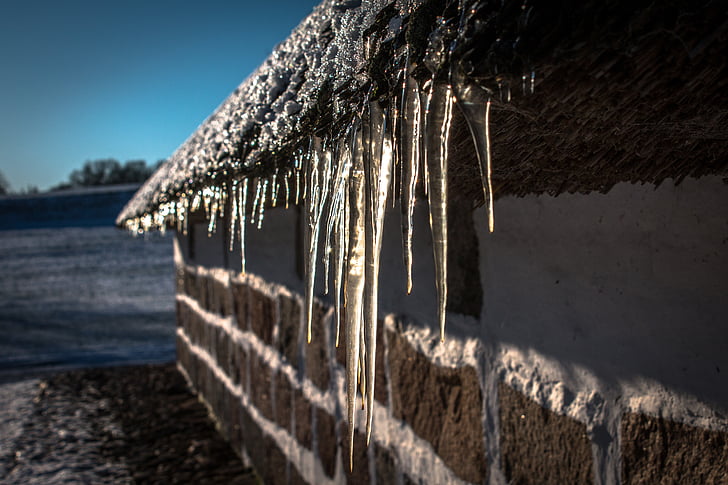 icicles, winter, snow, frost, frozen, ice, nature