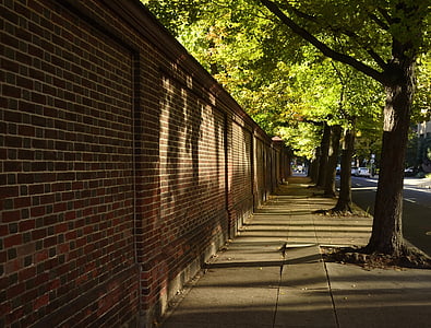 brick wall, street, sidewalk, shade trees, city, shadows, outdoors