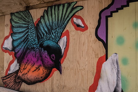 Graffiti, oiseau, peinture, art, art de la rue, coloré, conception