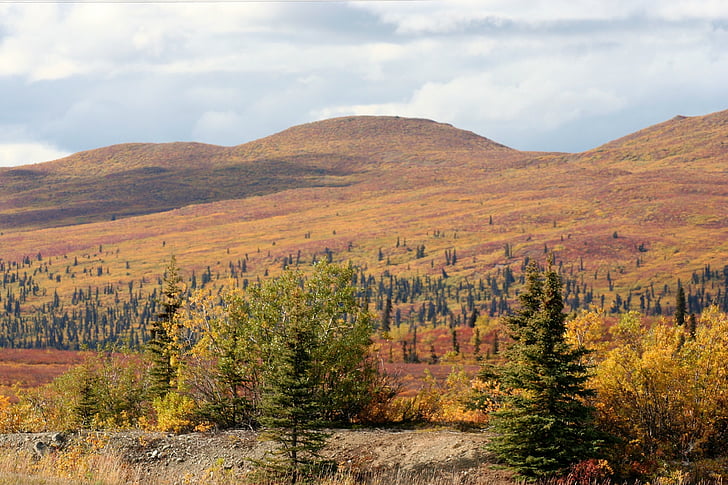 alaska, landscape, nature, mountain, mountains, grass, tundra