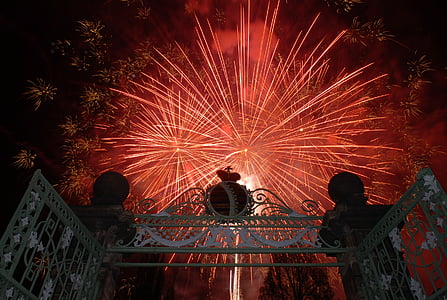 fireworks, gotha, orangery, orangery gotha, night, firework display, silhouette