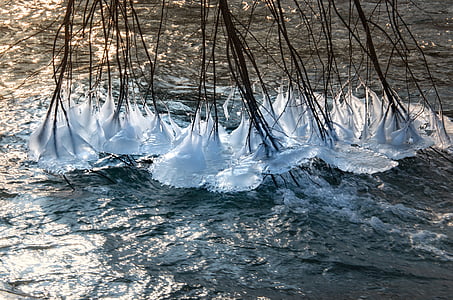 winter, ice, water, snow, wintry, icicle, eiskristalle