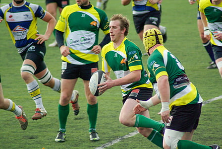 rugby, ball, sports, match, teams