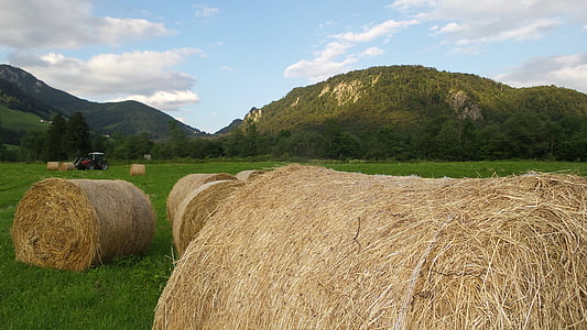Hay, panen, pertanian, bal jerami, pedesaan, pakan ternak, pemandangan