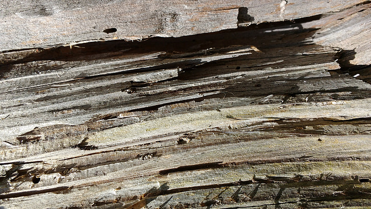 Стара деревина, волокна, зерна, Вибілені, сухі, візерунок, дерев'яні структури