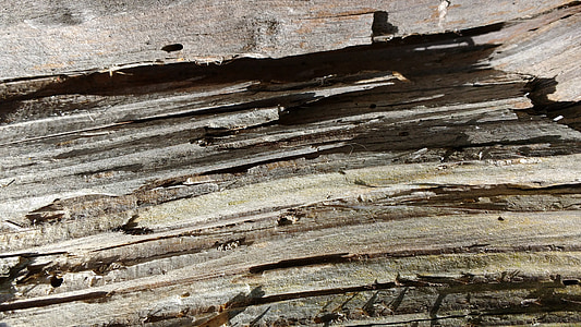 oud hout, vezels, graan, gebleekt, droog, patroon, houtstructuur