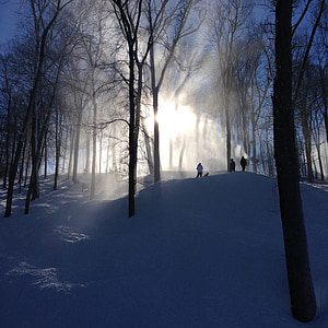 esqui, esquiadores, praticantes de snowboard, Inverno, neve, esqui, frio