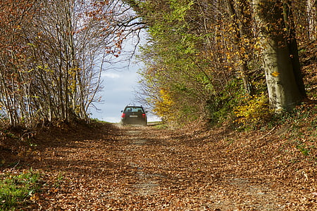 Landschaft, Wald, Waldweg, Fahrzeug, Herbst, Blätter fallen, Natur