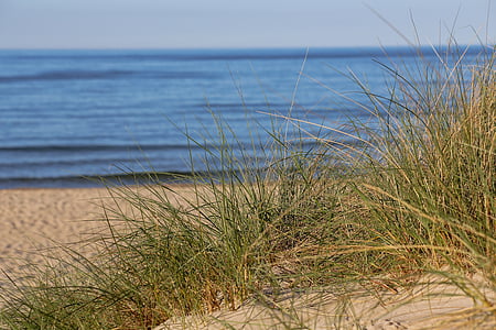 plage, mer Baltique, plage de sable, dune, eau, Baabe, Rügen
