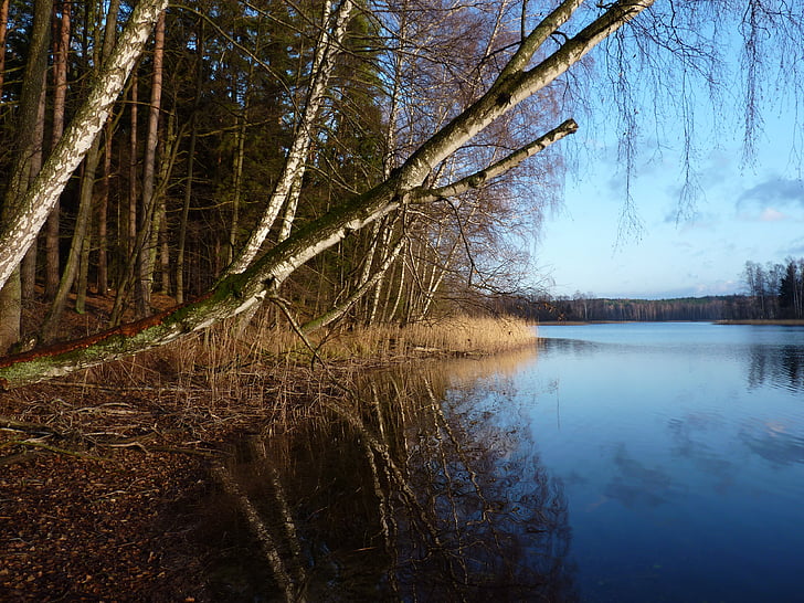Masuria, езеро, гора, природата, дърво, вода, отражение