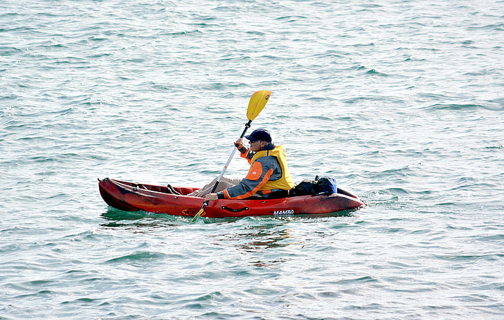canoe, kayak, water sport, water, water sports, paddle, character
