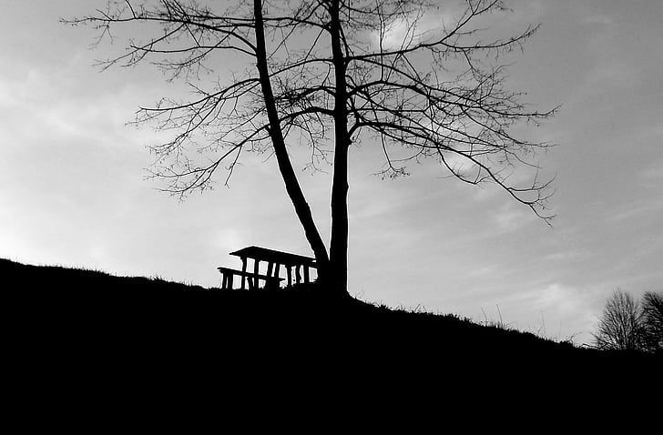 bench, black, white, park, lifestyle, young, people