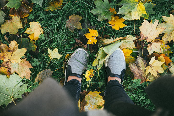 person, taking, photo, gray, sneakers, grass, shoes