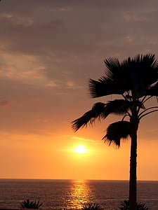 palmy, zachód słońca, romans, Słońce, Natura, morze, Plaża
