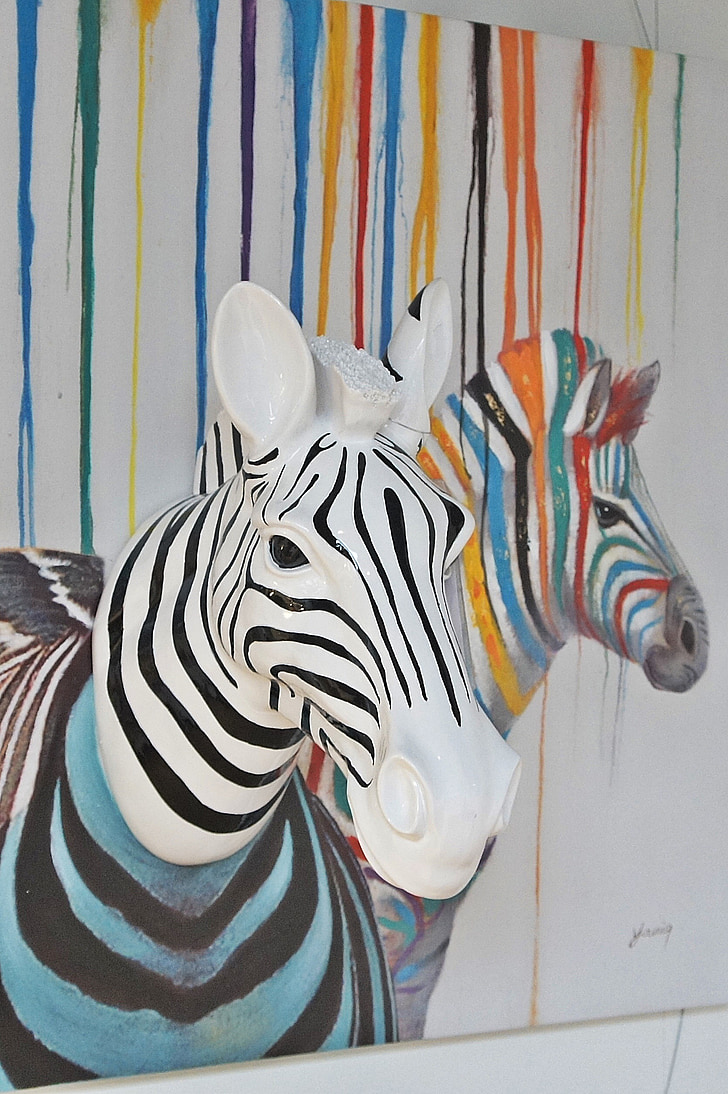 Zebra, arte, colorato
