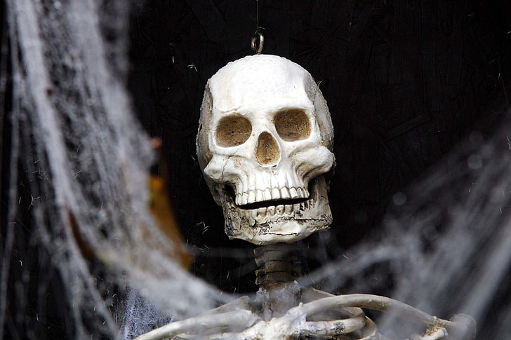 Halloween, celebració, Partit, crani, ossos, crani humà, horror