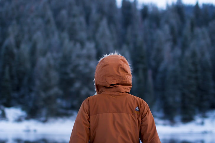 person, brown, parka, jacket, facing, trees, snow