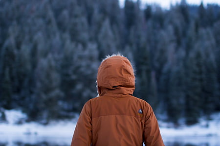 pessoa, marrom, Parka, jaqueta, enfrentando, árvores, neve