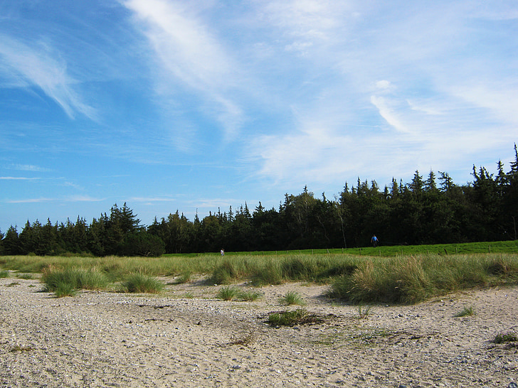 Mar Bàltic, platja, cel, blau, dunes, vora dels boscos, paisatge litoral