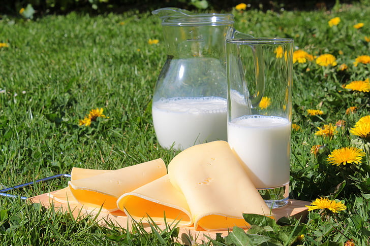 llet, formatge, llesques de formatge, productes lactis, aliments, Sa, vitamines