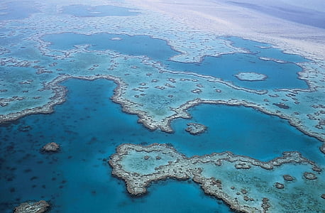 grande barrière de corail, corail, Australie, Queensland, océan, empire de l’île, Coral reef