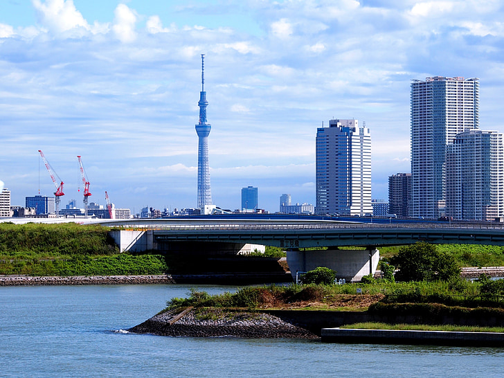 tower, sky, tokyo, high rise building, city, japan, rainbow bridge