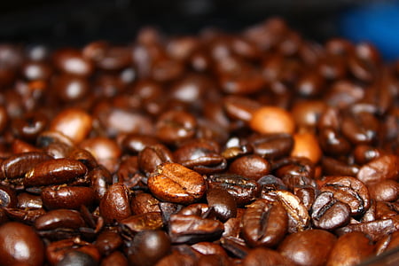 haricots, caféine, café, grains de café, profondeur de champ, macro, grains de café torréfiés